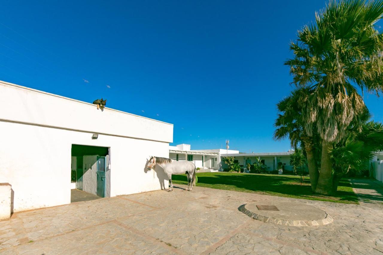 Habitaciones Rurales La Vega Tarifa Kültér fotó